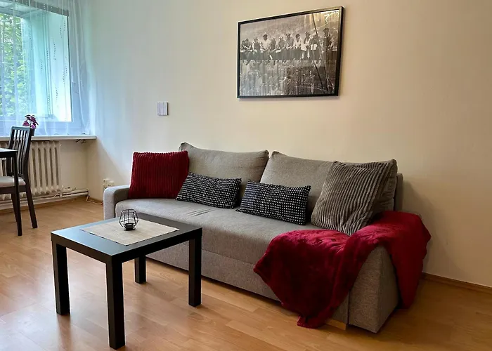 Cozy Home Near City Centre